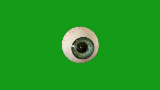 Eyeball Tela Verde Movimento Gráficos — Vídeo de Stock