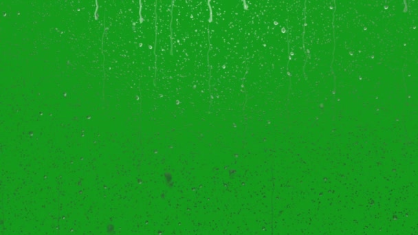 Krople Deszczu Szybie Okna Zielony Ekran Grafika Ruchu — Wideo stockowe