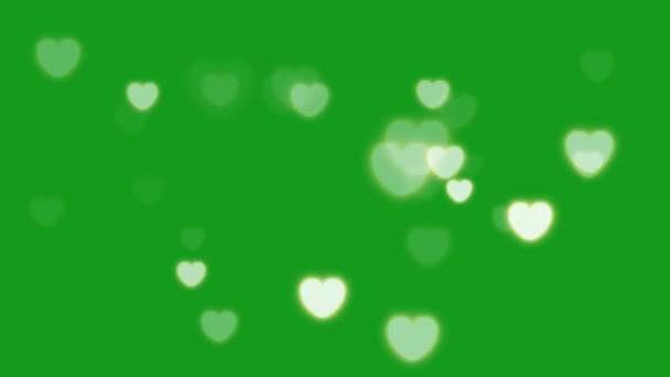 Bokeh Cuori Schermo Verde Motion Grafica — Video Stock