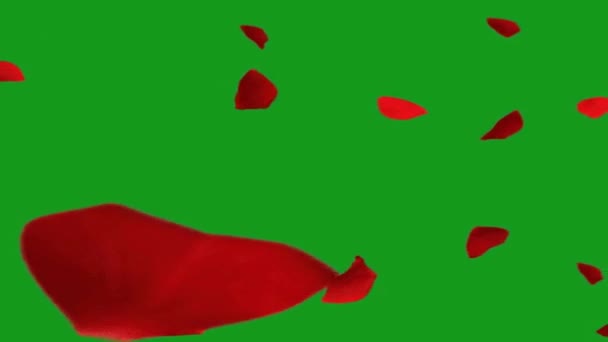 Caída Pétalos Rosa Roja Pantalla Verde Gráficos Movimiento — Vídeos de Stock
