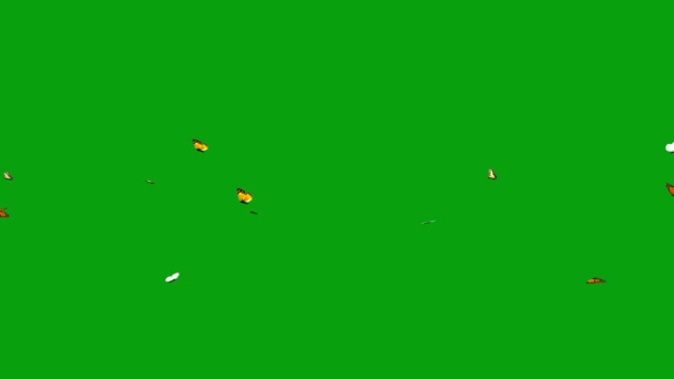 Бабочки Зелёным Экраном — стоковое видео