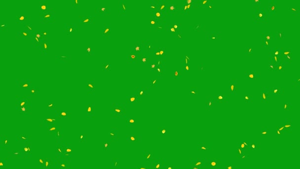 Падіння Листя Зеленого Екрану Графіки Руху — стокове відео