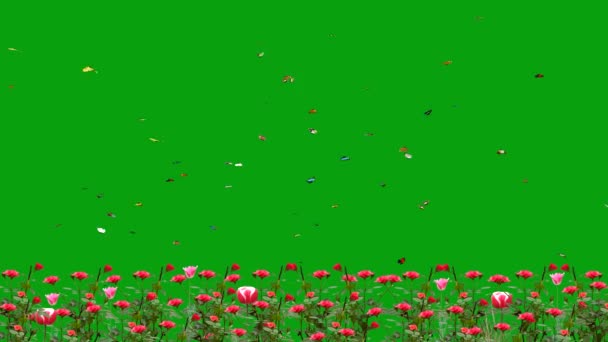 Летающие Бабочки Зеленом Саду Графика Движения Экрана — стоковое видео