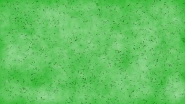 Bewegende Microben Groen Scherm Beweging Graphics — Stockvideo