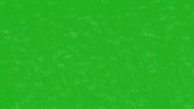 Sağanak yeşil ekran hareketi grafikleri