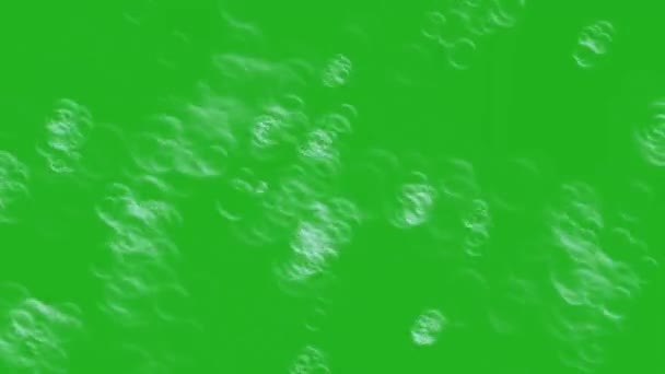 水环绿色屏幕运动图形 — 图库视频影像