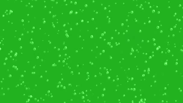 Flying Bubbles Green Screen Motion Graphics — Stock Video