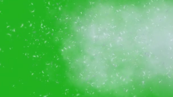 Пыль Дым Зеленого Экрана — стоковое видео