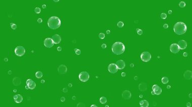 Yumuşak ve gerçekçi sabun köpükleri hafifçe arka planda süzülüyor. Sunumlar, reklamlar, tanıtımlar, spa temaları, güzellik ürünleri ve rahatlama içeriği için rahatlatıcı ve zarif bir hareket grafikleri olarak mükemmel..