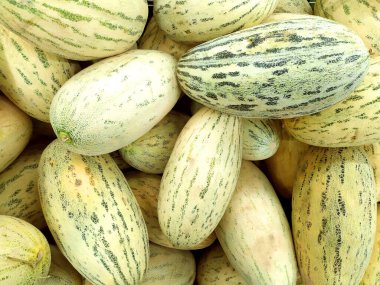 Kavun. Piyasada bir sürü taze kavun var. Yukarıdan bak. Doku. Geçmişi. Mevsimlik yaz meyveleri. Kötü kültür..