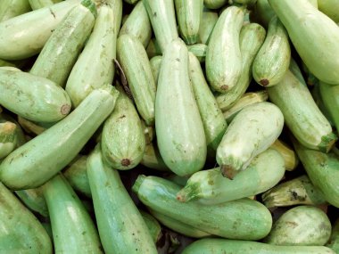 Yeşil kabak. Süpermarketteki bir rafta uzamış yeşil bir sebze. Taze toplanmış yeşil kabak. Yaz kabağı. Geçmişi. Doku. Yukarıdan görüntüle