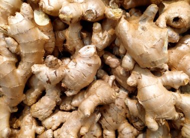 Taze organik zencefil. Yukarıdan bak. Bir sürü baharat var. Sağlığa. Baharatlar. Bir sürü zencefil kökü. Zencefil hasat et. Zencefil kökü bir gıda arka planıdır. Yakın plan. Yukarıdan bak. Doku. Arkaplan.