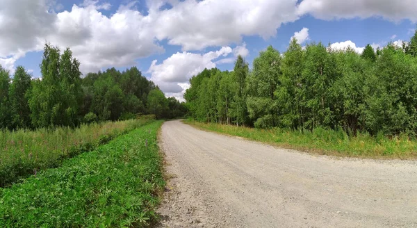 Cesta k dolu zelených polí a stromů. Modrá obloha. Cesta je nezpevněná. Krajina. Krásný obrázek krajiny. Banner. Panorama — Stock fotografie