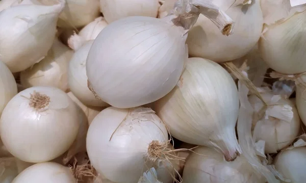 White onion. Fresh White Onion as a background. Close-up. Background. Onion background. Ripe onion. Onions on the market. Vegetables. Banner.