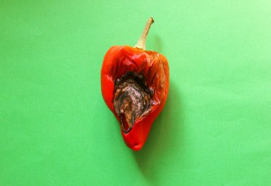 Spoiled peppers, isolated on a green background. Mould on courgettes. Fashion ugly concept of food. Ugly vegetables. The problem of food waste. Mould on pepper. View from above. Red pepper.