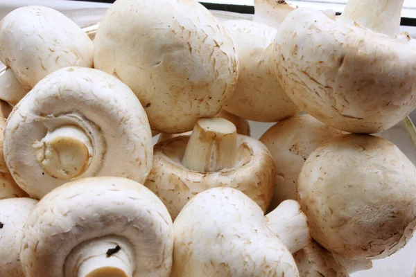 Champignons. Viele frische Pilze aus nächster Nähe von oben. Leckere und gesunde Pilze werden zu Hause gezüchtet. Frischer roher Pilz. Der Rahmen ist komplett mit Pilzen gefüllt. Hintergrund. Lebensmittel — Stockfoto