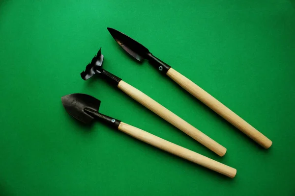 Garden tools, shovels and rakes, isolated on a green background. The concept of planting rasta, farming, transplantation of houseplants, working tools. Hobby. Flaty. Copy space