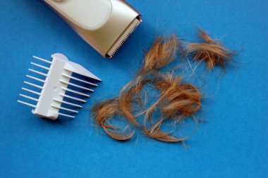 Saç kesim makinesi mavi arka planda, budanmış saç telinin yanında yalıtılır. Saçlar. Kuaför, saç kesmek için profesyonel bir araçtır. Berber dükkanında ya da evde saç kesimi. Boşluğu kopyala, Düz.