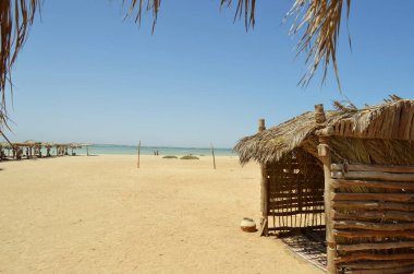 Plajda güneşli yataklar, Mısır. Sarı kum, mavi gökyüzü. Tatil yeri, dinlenme. Metin için alanı kopyala