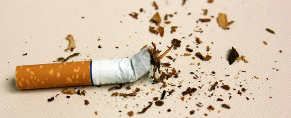 Ein Teil einer Zigarette isoliert auf weißem Hintergrund. Tabakblätter sind rassistisch angehaucht. Das Konzept von World No Tobacco, Tobacco and Lung Health. Gesundheitsschädlich. Es ist eine schlechte Gewohnheit. Banner — Stockfoto