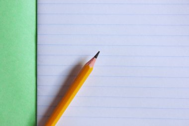 Teşhis sırasında temiz okul defterini aç. Defterde bir kurşun kalem var. Defter, defter. Eğitim, okul, üniversite. Bilgi topluyorum. Yukarıdan bak. Boşluğu kopyala.