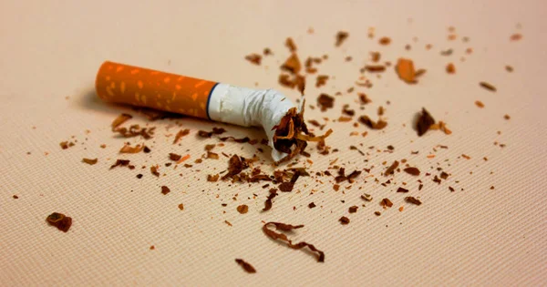 Ein Teil einer Zigarette isoliert auf weißem Hintergrund. Tabakblätter sind rassistisch angehaucht. Das Konzept von World No Tobacco, Tobacco and Lung Health. Gesundheitsschädlich. Es ist eine schlechte Gewohnheit. — Stockfoto