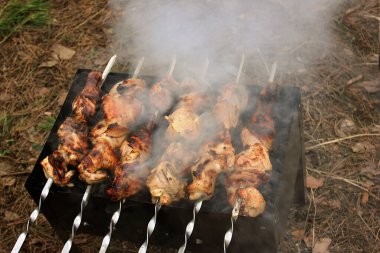 Izgara ızgarada çiğ domuz eti turşusu. Taze ürünler barbekü için hazır. Açık havada yaz yemeği. Kömürlü et. İç.