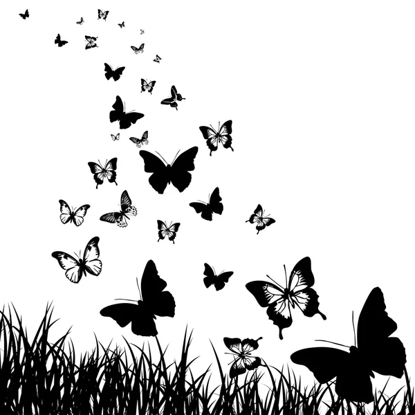 Mariposas y hierba de fondo — Foto de Stock