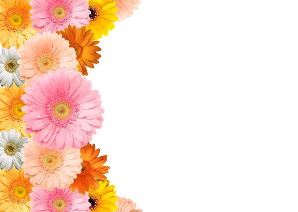 Färgglada blommor ram — Stockfoto