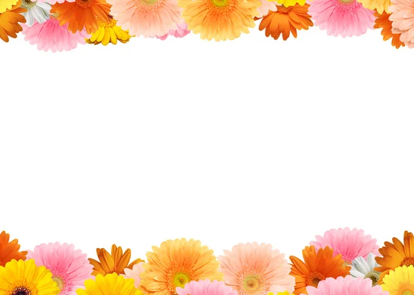 Colorful flower frame — Stock Photo, Image