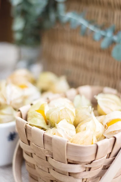 Primo piano di uva spina Capo (Physalis) nel cesto, frutta sana a — Foto Stock