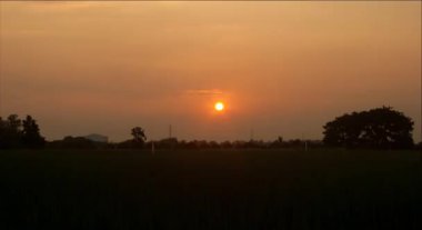 Gün batımı sırasında Timelapse videoda pirinç alan.
