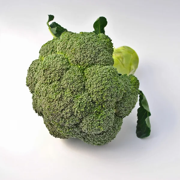 Fresh broccoli on white background — Stock Photo, Image