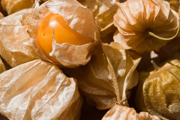 Uva spina del Capo (Physalis), frutta e verdura sana — Foto Stock