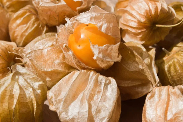 Uva spina del Capo (Physalis), frutta e verdura sana — Foto Stock