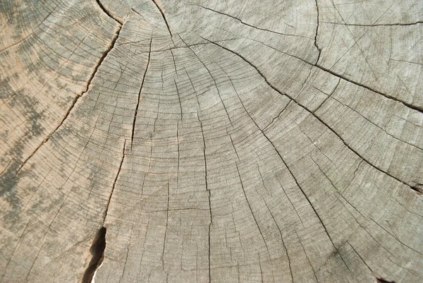 Gambar dari latar belakang kayu — Stok Foto