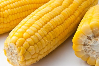 beyaz zemin üzerine haşlanmış mısır