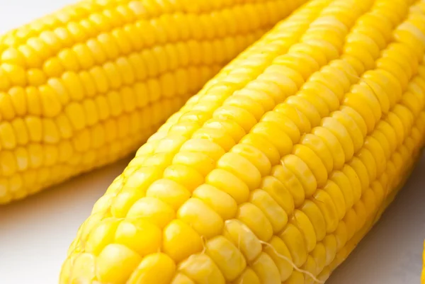 Boiled corn on white background — Stock Photo, Image