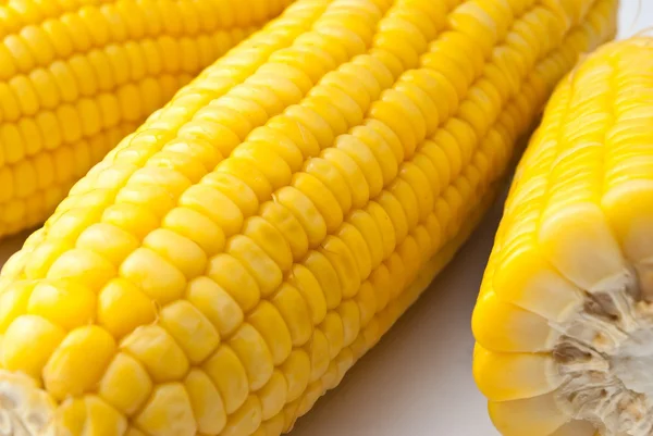 Boiled corn on white background — Stock Photo, Image