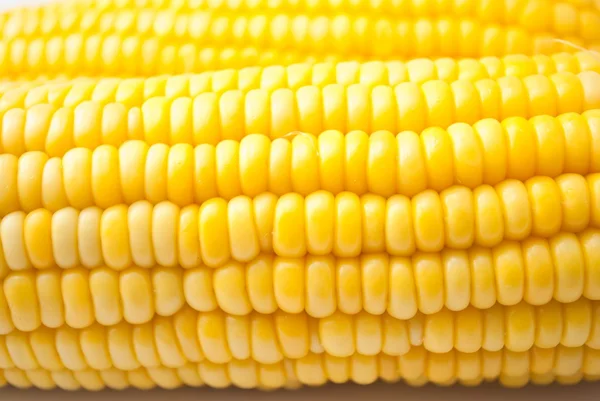 Boiled corn — Stock Photo, Image