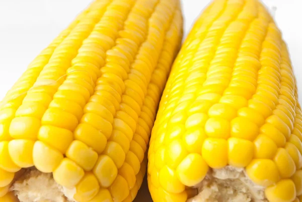 Boiled corn on white background — Stock Photo, Image