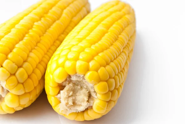 Boiled corn on white background — Stock Photo, Image