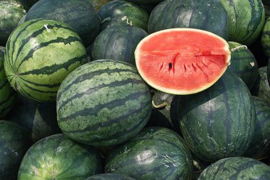 Bir sürü büyük yeşil karpuz ve bir kesik karpuz.