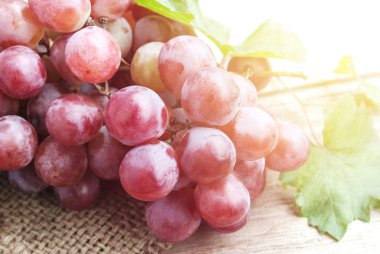 Yumuşak ışık üst sağ tarafı doğal çul kırmızı üzüm