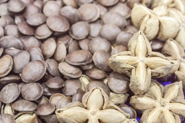 Immagine di semi di arachidi sacha inchi — Foto Stock
