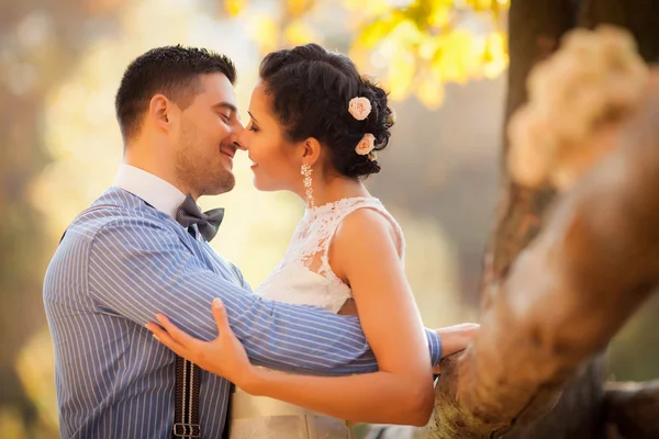 Usmíval se, pár objímání, líbání v podzimním parku. Šťastný ženich a nevěsta v lese, venku — Stock fotografie