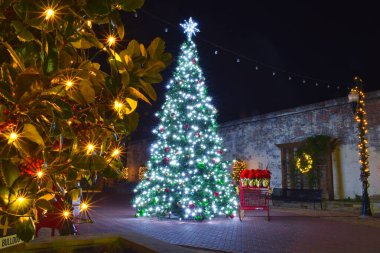 Gece şehir merkezinde Noel ağacı