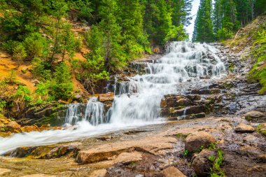 Utah 'taki destansı orman şelalesi.