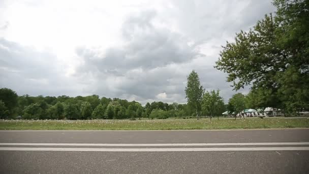 Liten flicka cykling i parken på en rosa cykel. Slow motion — Stockvideo