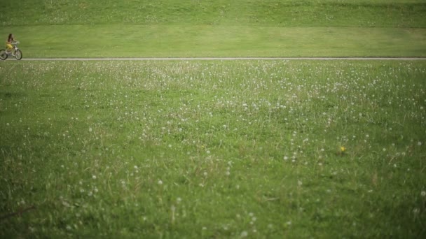 Petite fille à vélo dans le parc sur un vélo rose — Video